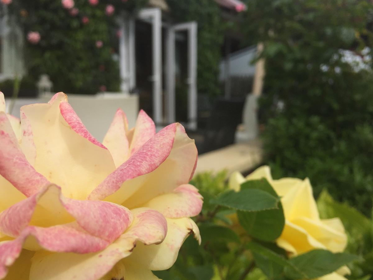 St Kyrans Guest House Virginia Bagian luar foto