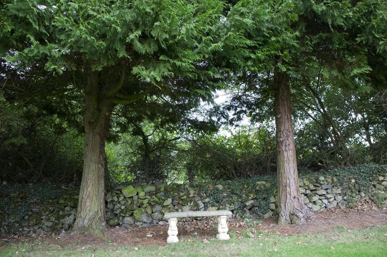 St Kyrans Guest House Virginia Bagian luar foto